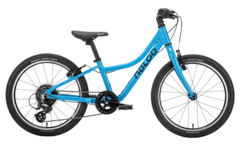 Chameleon 20"
